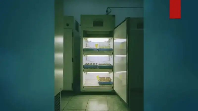 分享会配图
