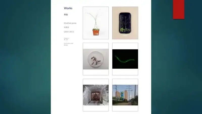 分享会配图