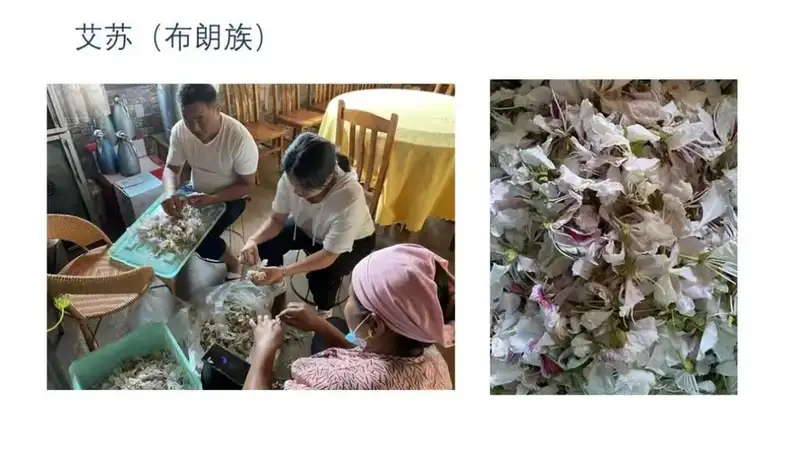 分享会配图