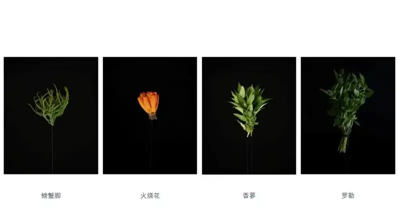 分享会配图