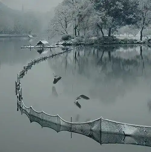 分享会配图