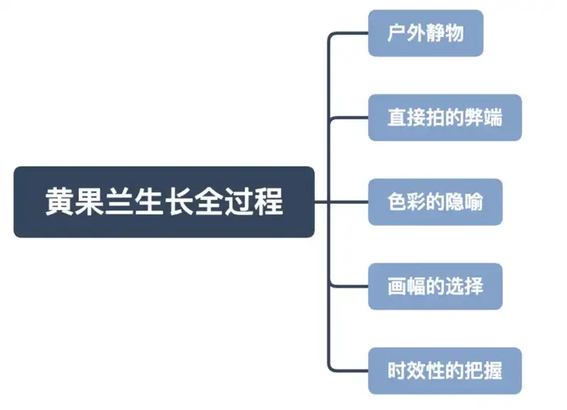 分享会配图