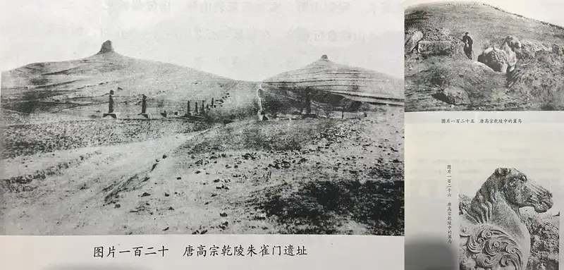 分享会配图