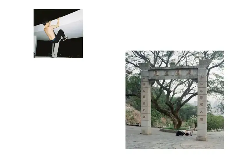 分享会配图