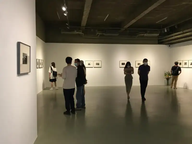 分享会配图