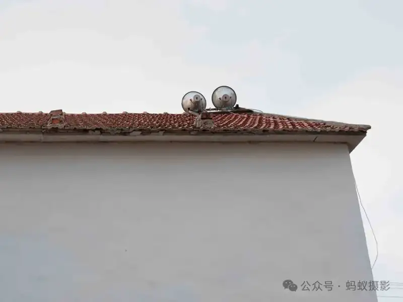 分享会配图