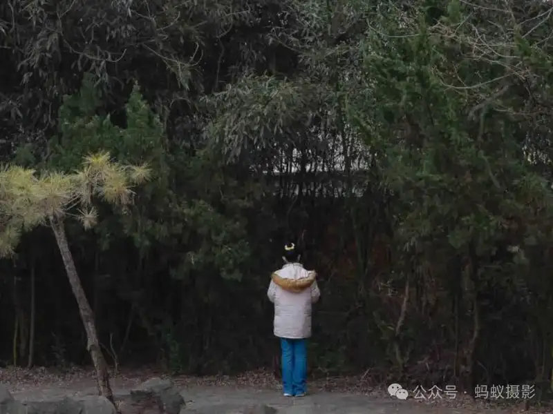 分享会配图