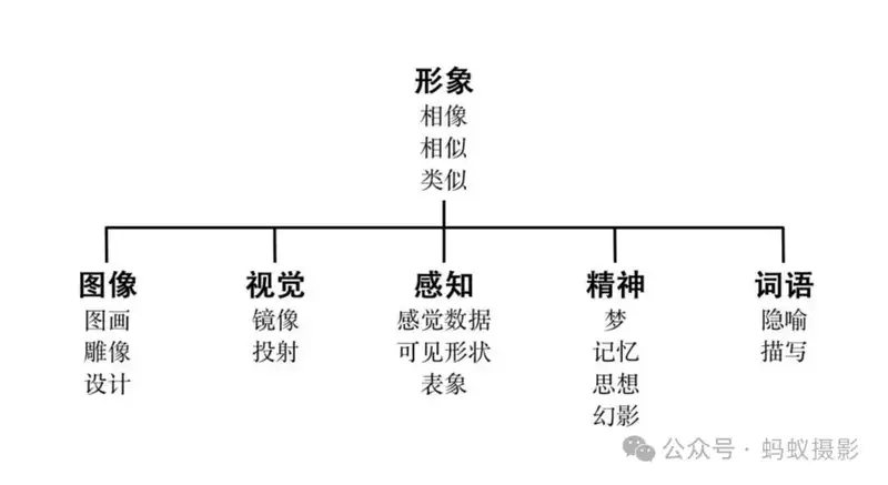 分享会配图
