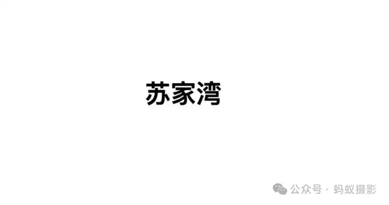 分享会配图