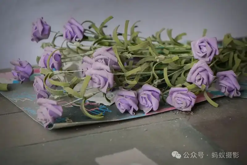 分享会配图