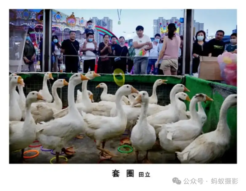 分享会配图