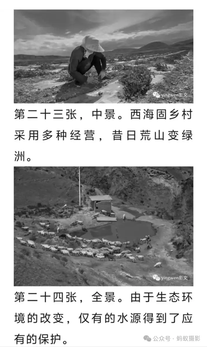 分享会配图