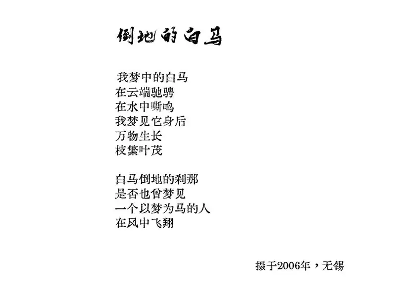 分享会配图