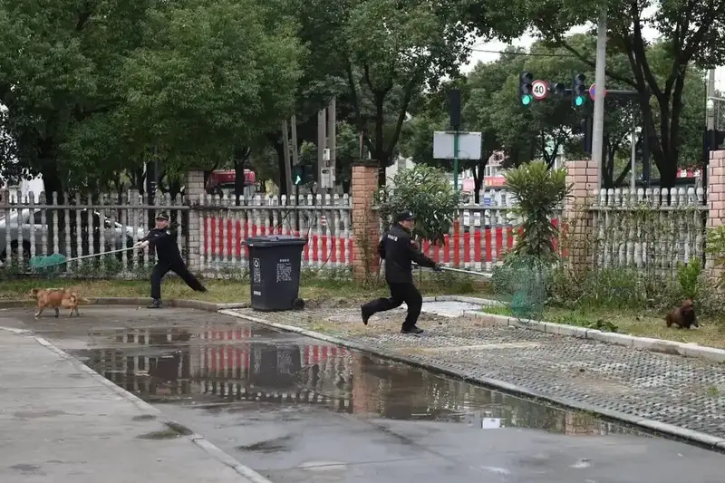 分享会配图
