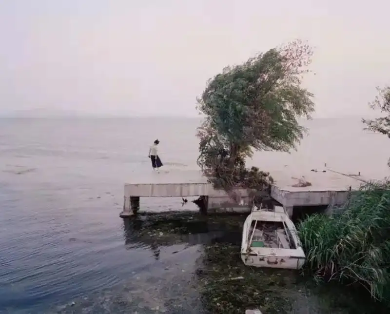 分享会配图