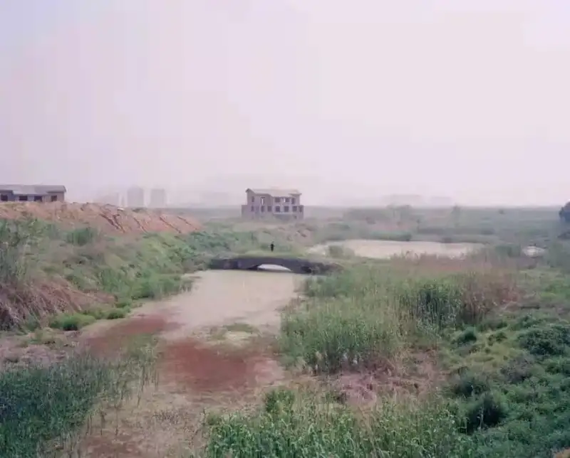 分享会配图