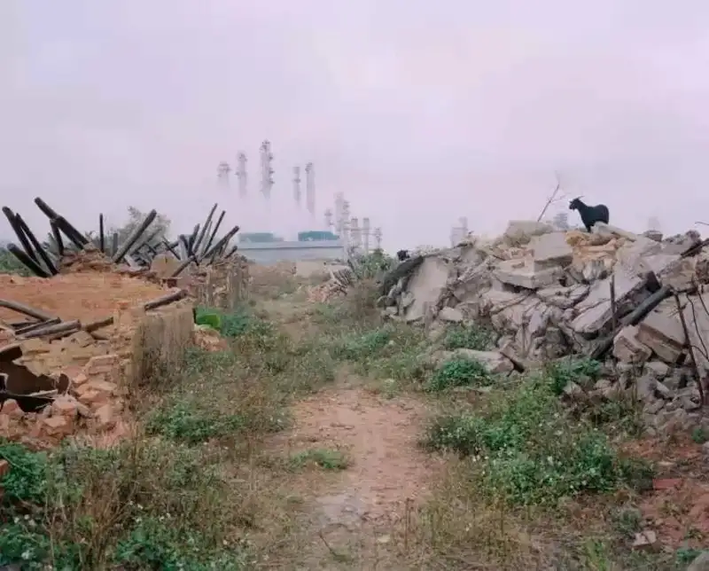 分享会配图
