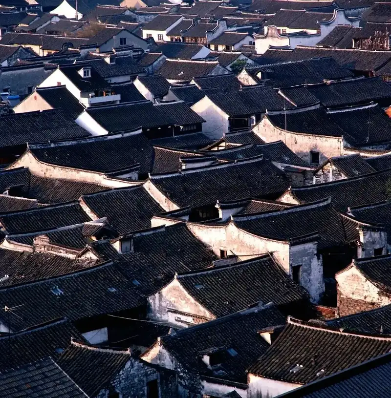 分享会配图
