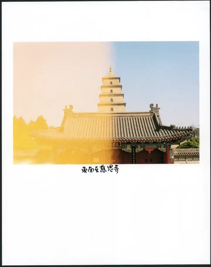 分享会配图