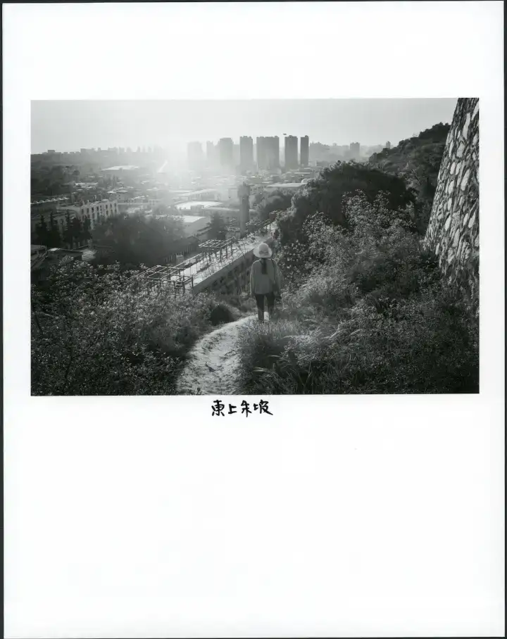 分享会配图
