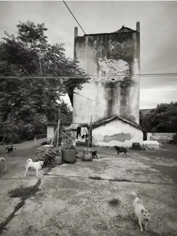 分享会配图