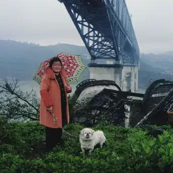 分享会配图