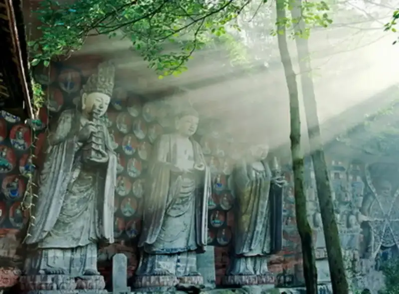 分享会配图