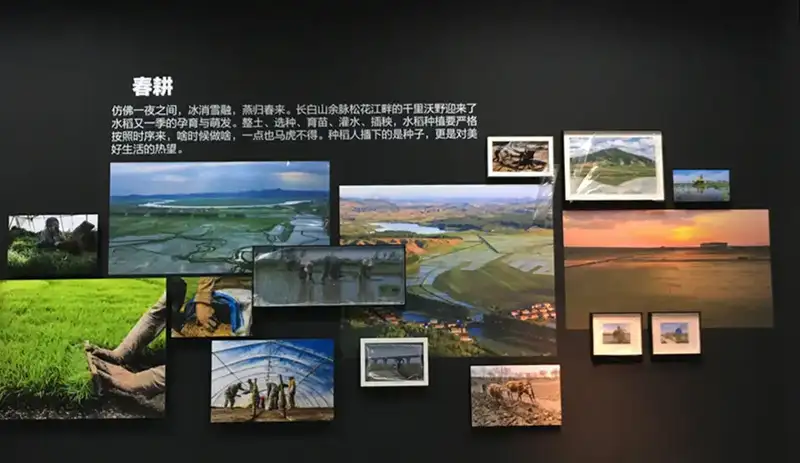 分享会配图