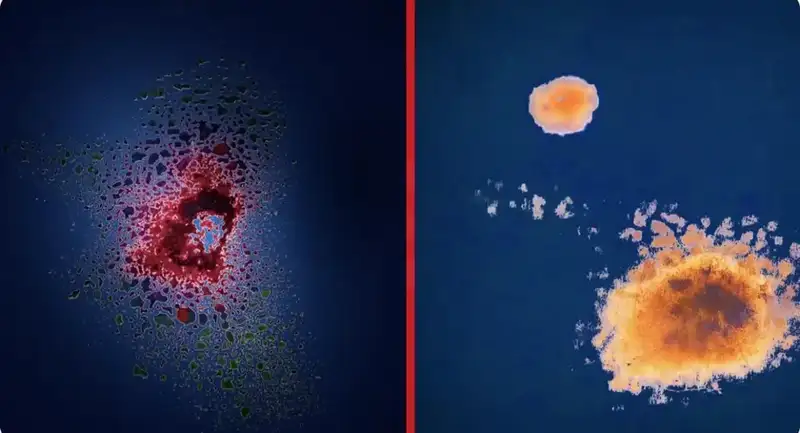 分享会配图