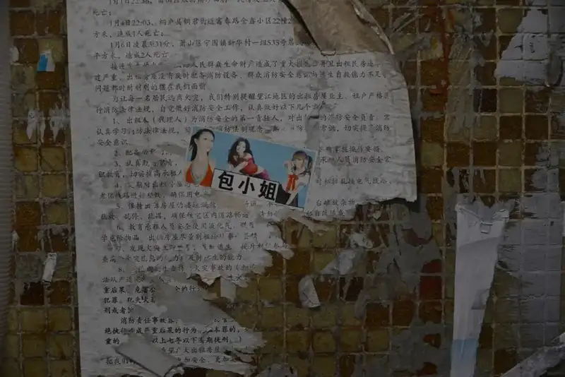 分享会配图