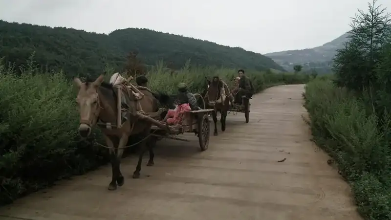 分享会配图