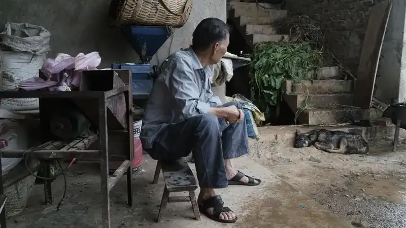 分享会配图