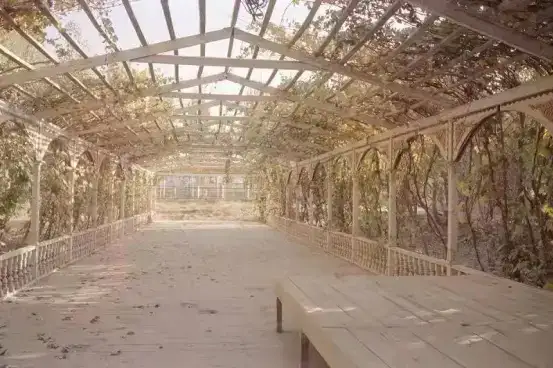 分享会配图