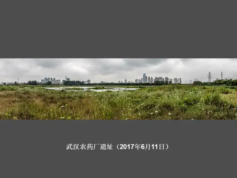 分享会配图