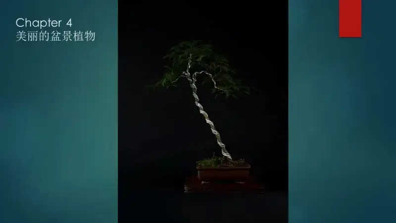 分享会配图