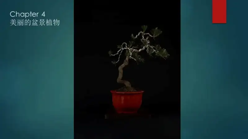 分享会配图