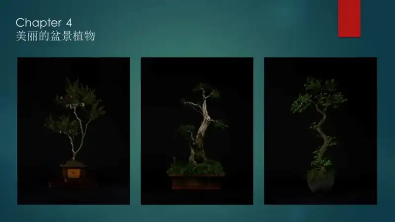 分享会配图