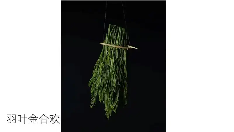 分享会配图