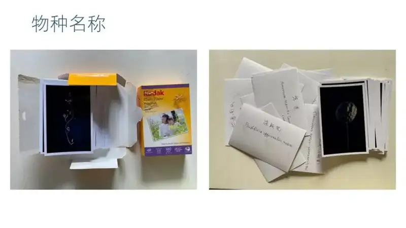 分享会配图