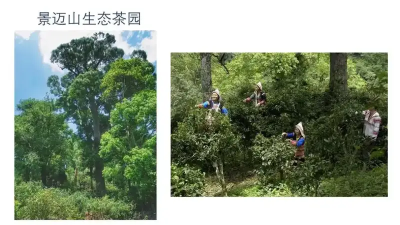 分享会配图