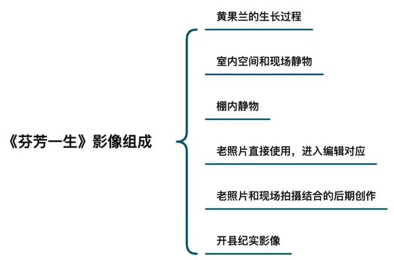 分享会配图