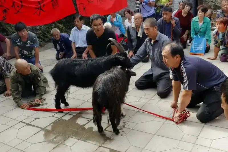分享会配图