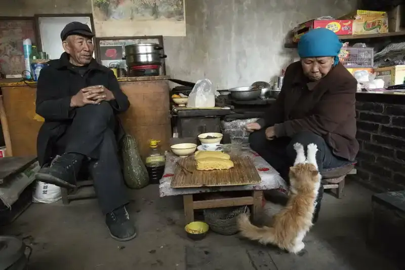 分享会配图