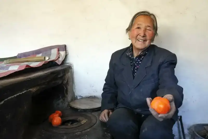 分享会配图