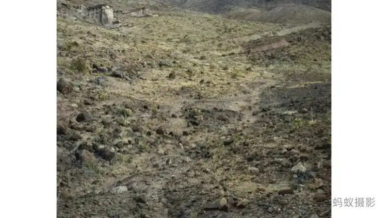 分享会配图