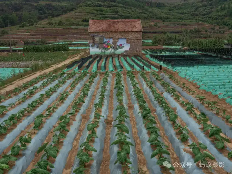分享会配图