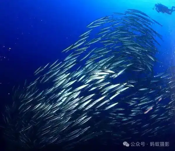 分享会配图