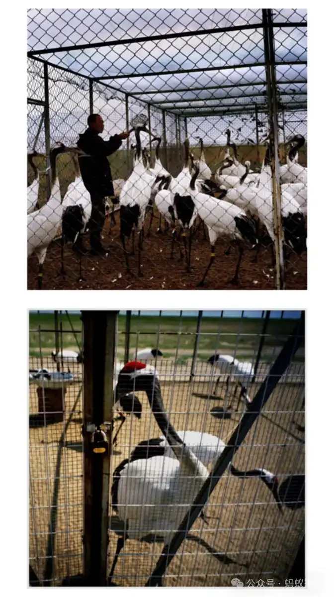 分享会配图