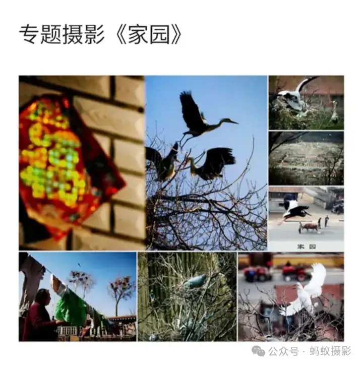 分享会配图