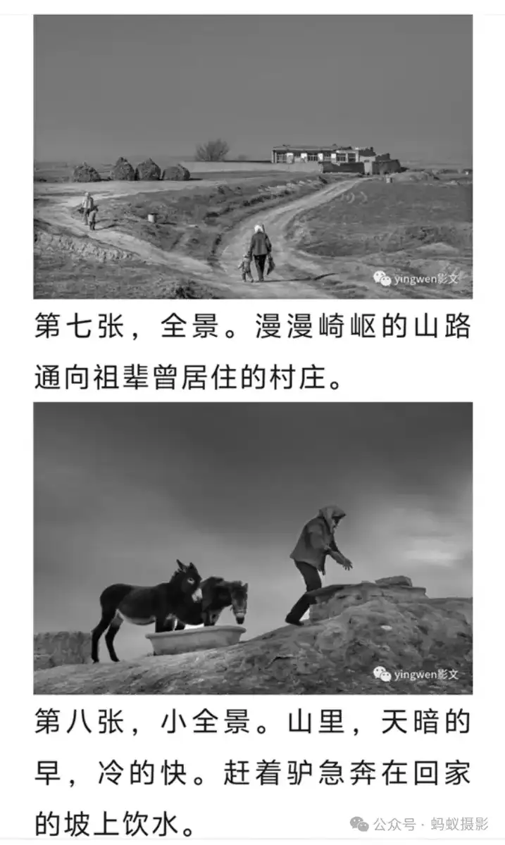 分享会配图